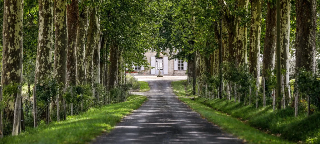 Début d'une allée goudronné entouré d'arbres qui amène vers une grande maison